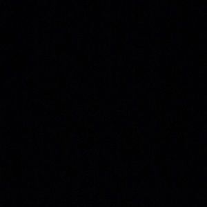 Meet your Posher, Maggie